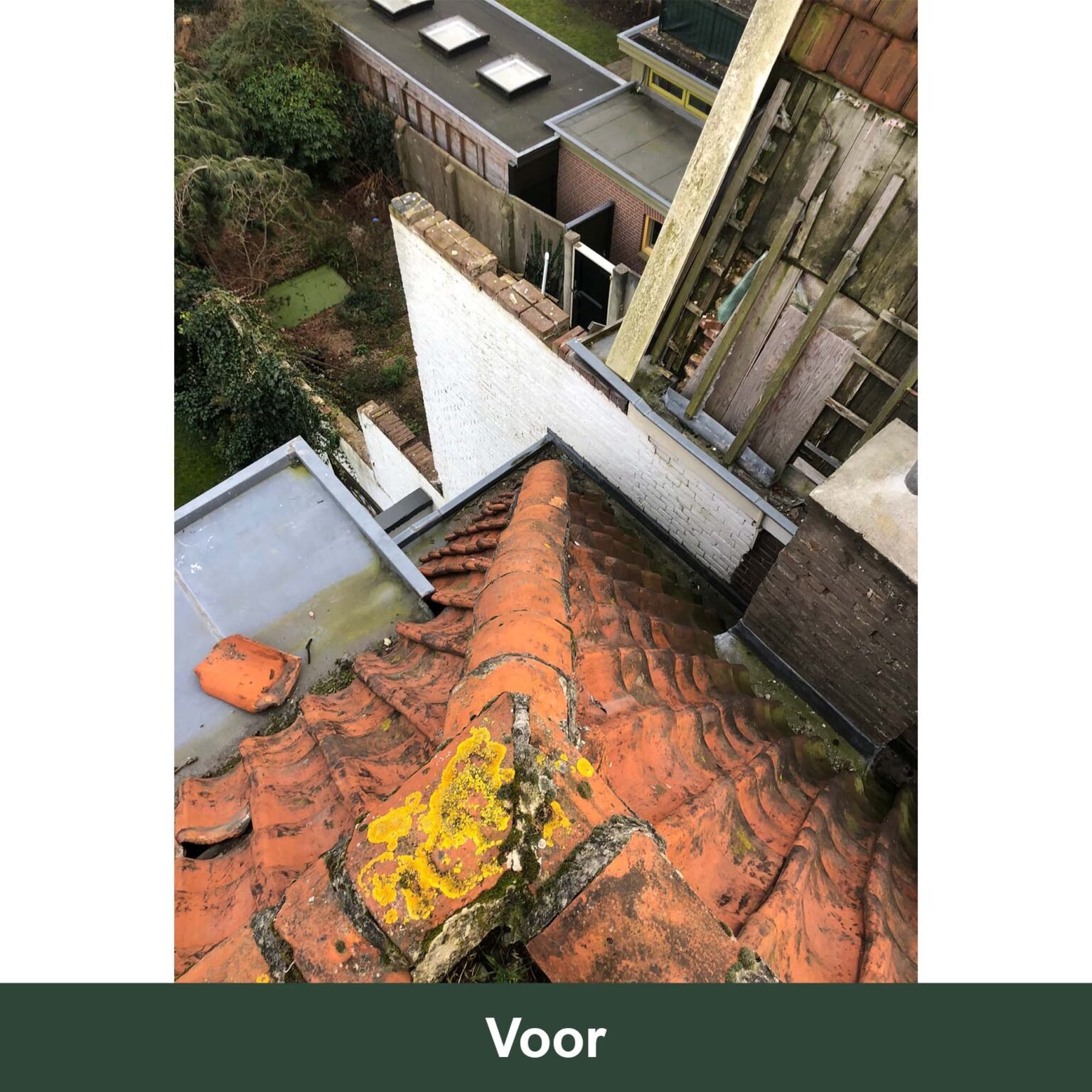 Voor dak 1 1536x1536